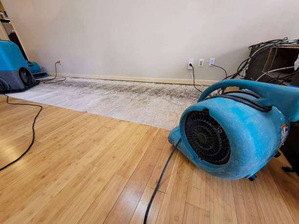 Professional Flood Damage Cleanup technician working in Garden City, AL